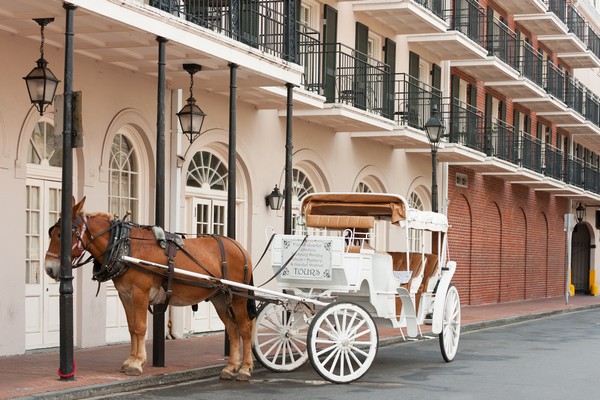 Elegant horse-drawn carriage in French Quarter, New Orleans